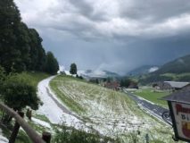 IMG-20200701-WA0003-300x225