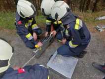 IMG-20240830-WA0064