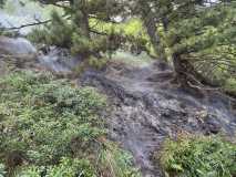 20250824-Waldbrand-010