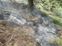 20250824-Waldbrand-11