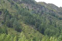 20250824-Waldbrand-3