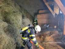 IMG-20230925-WA0042