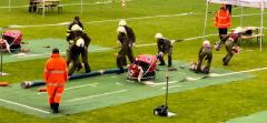 IMG-20230626-WA0017