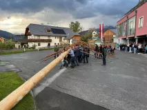 1_Maibaum_2024-6