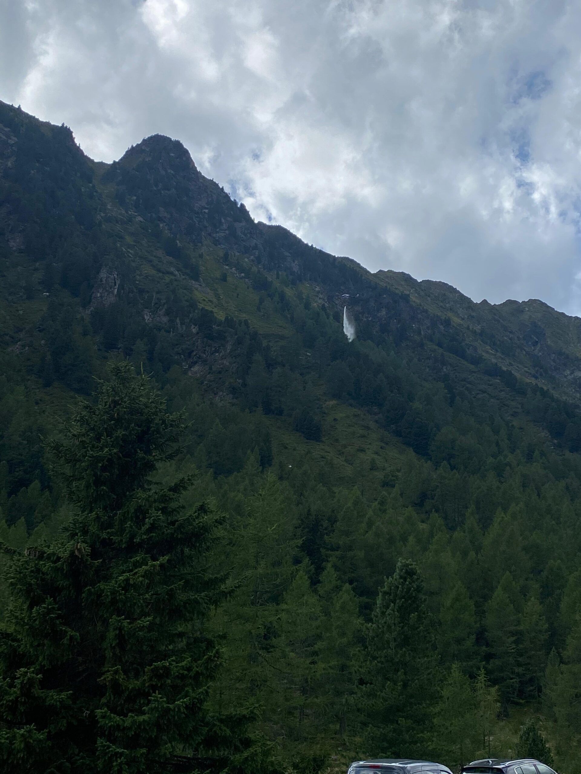 B09W-Waldbrand